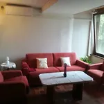 Apartments Darinka